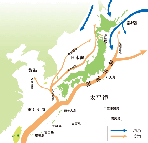 日本地図_分布図
